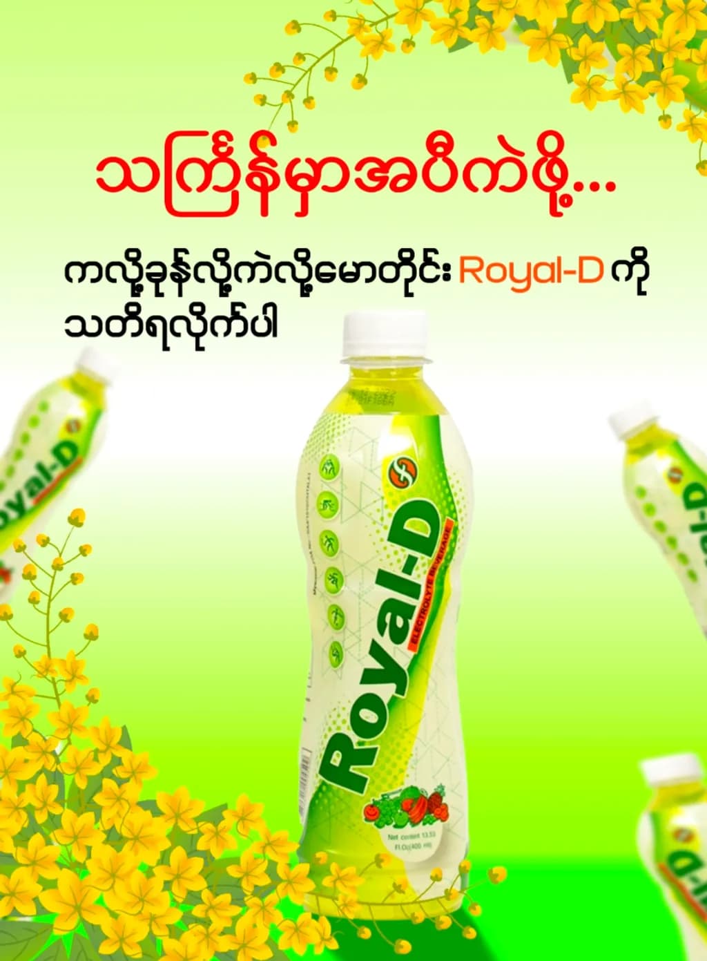 Royal-D Refresh