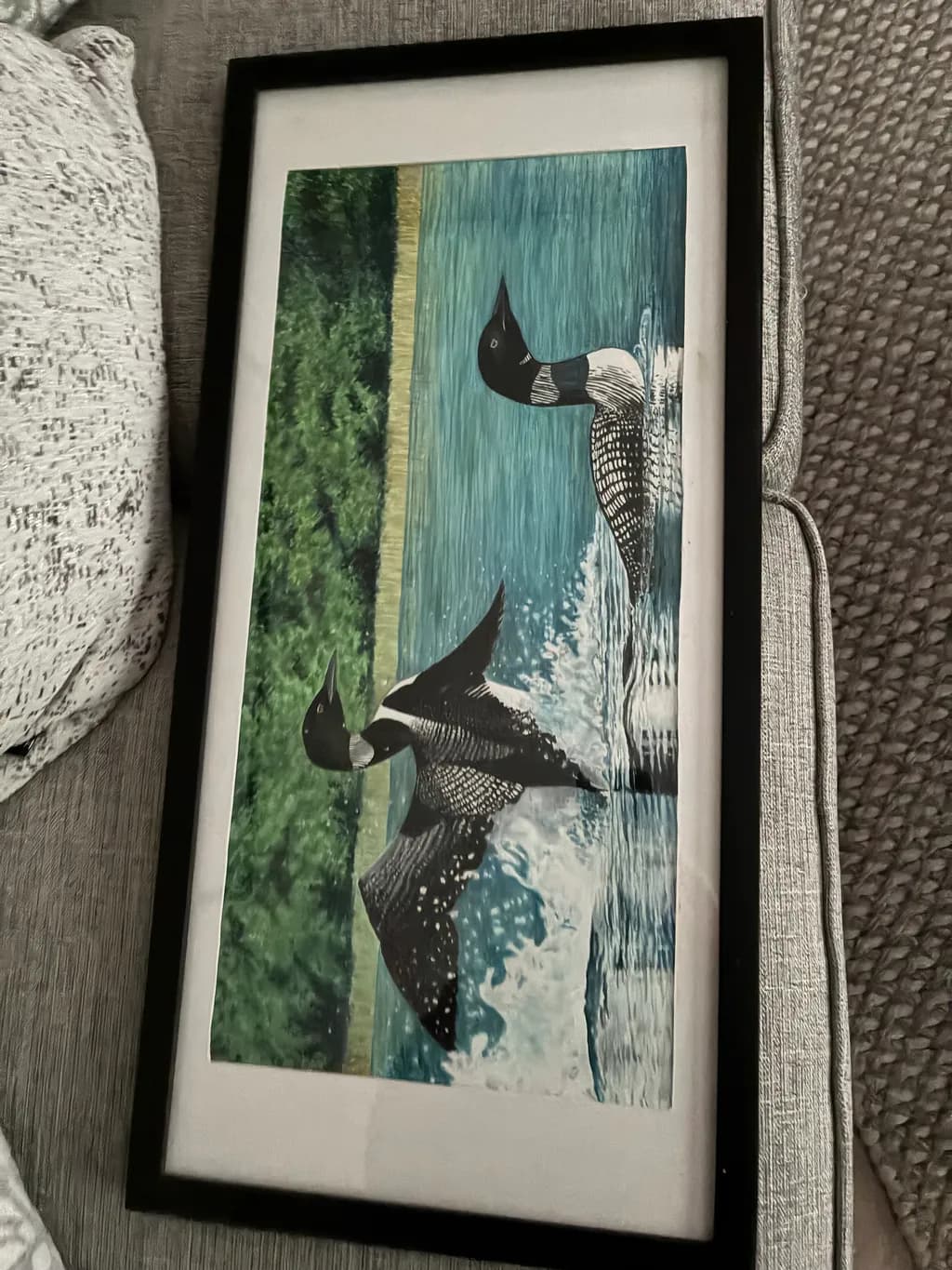 Loon Landing