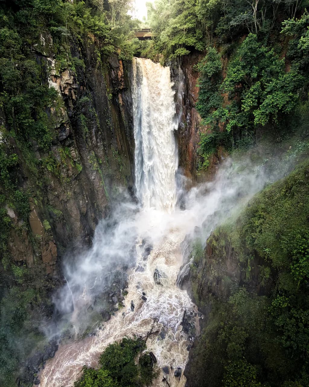 Roaring Cascade