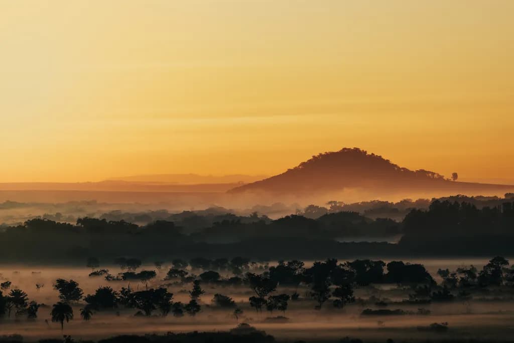 Misty Horizon