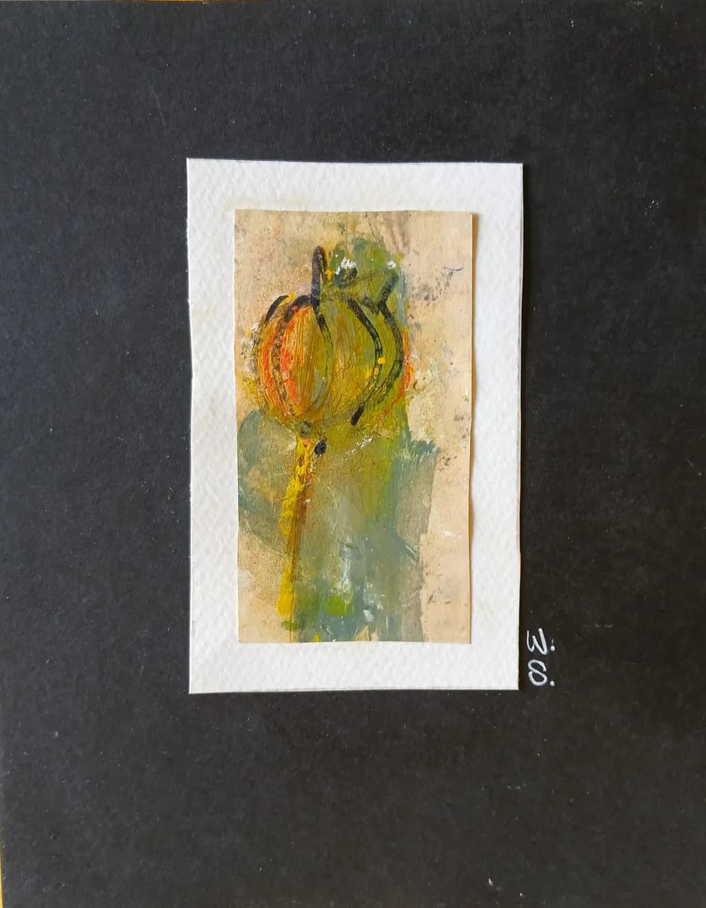 Poppy Seed Pod