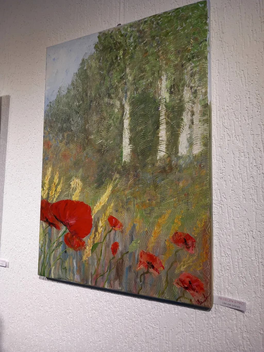 Birch and Poppies
