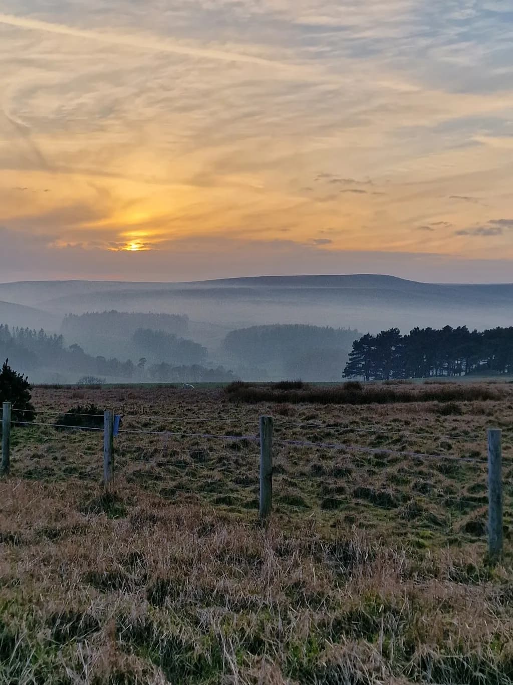 Sun Over Valley Mist