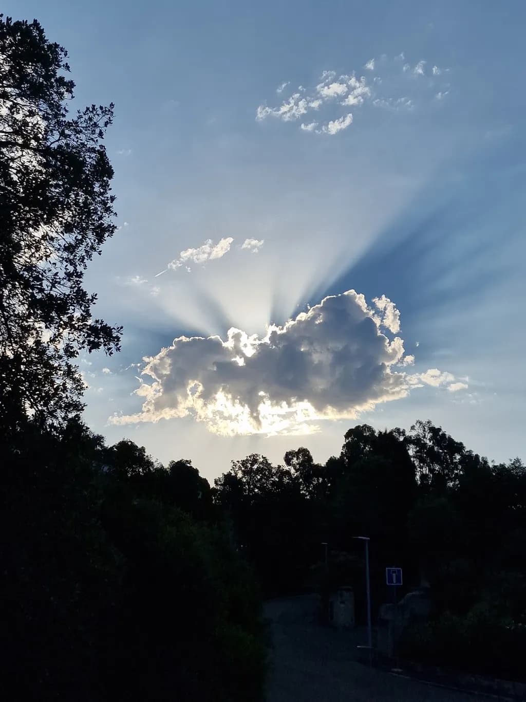 Rays