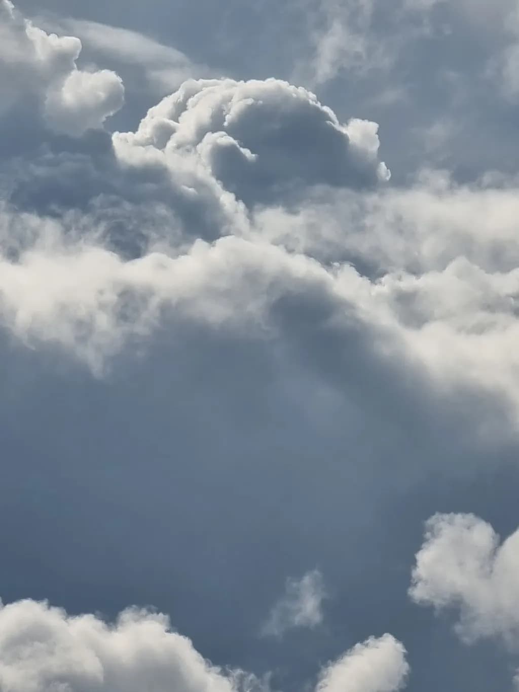 Dolphin Clouds