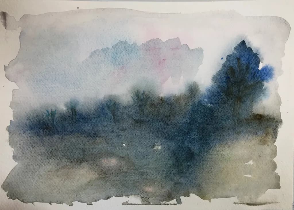 Misty Woodland Blur