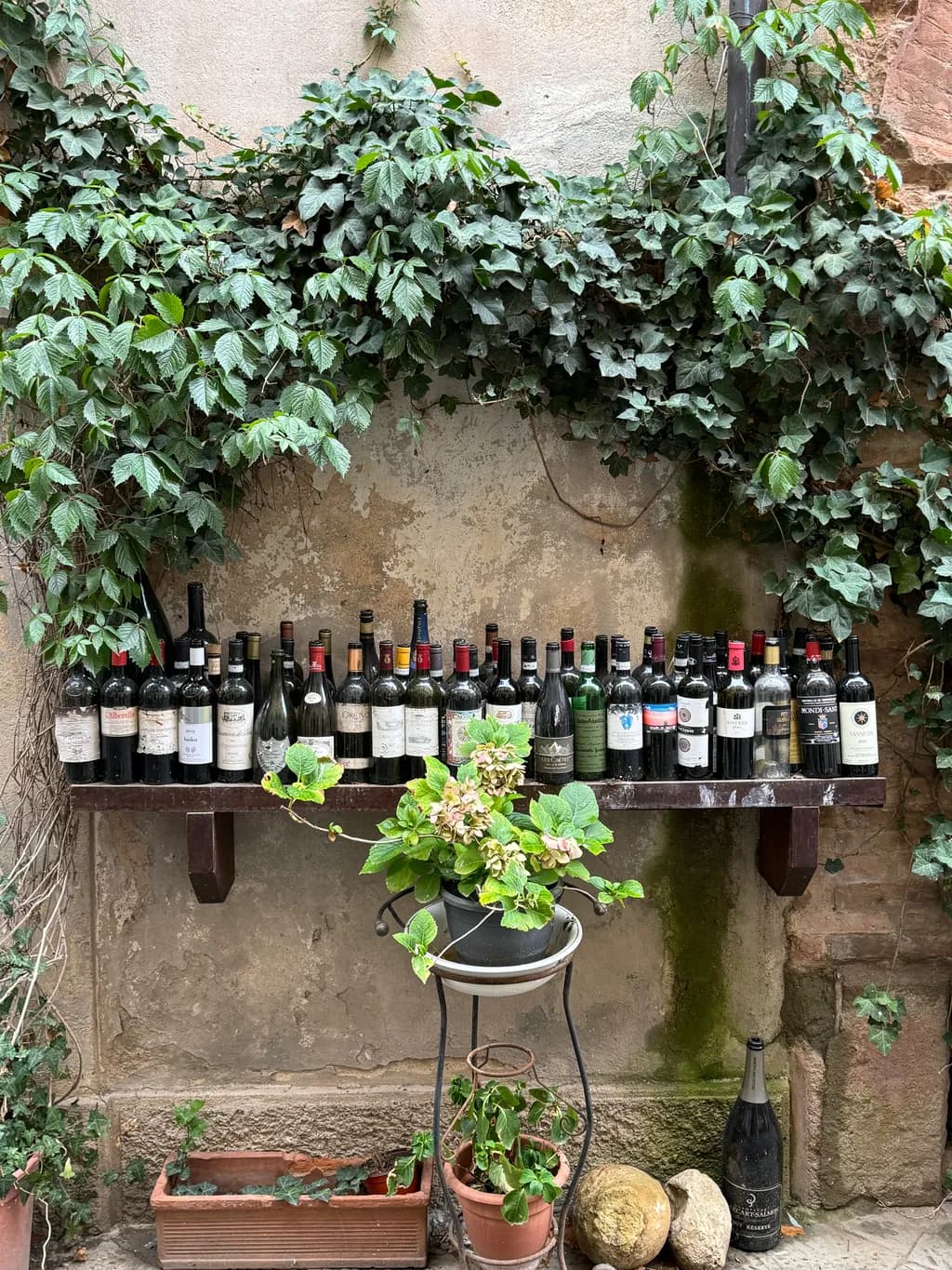 Tuscan Wine Display