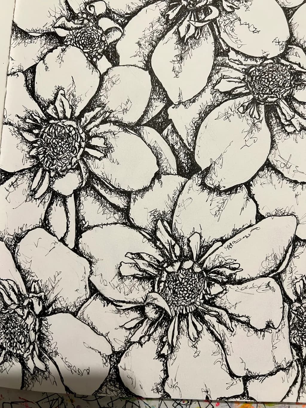 Sketch Bloom