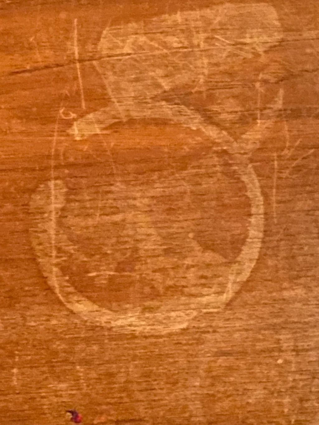 Coffee Ring Echo