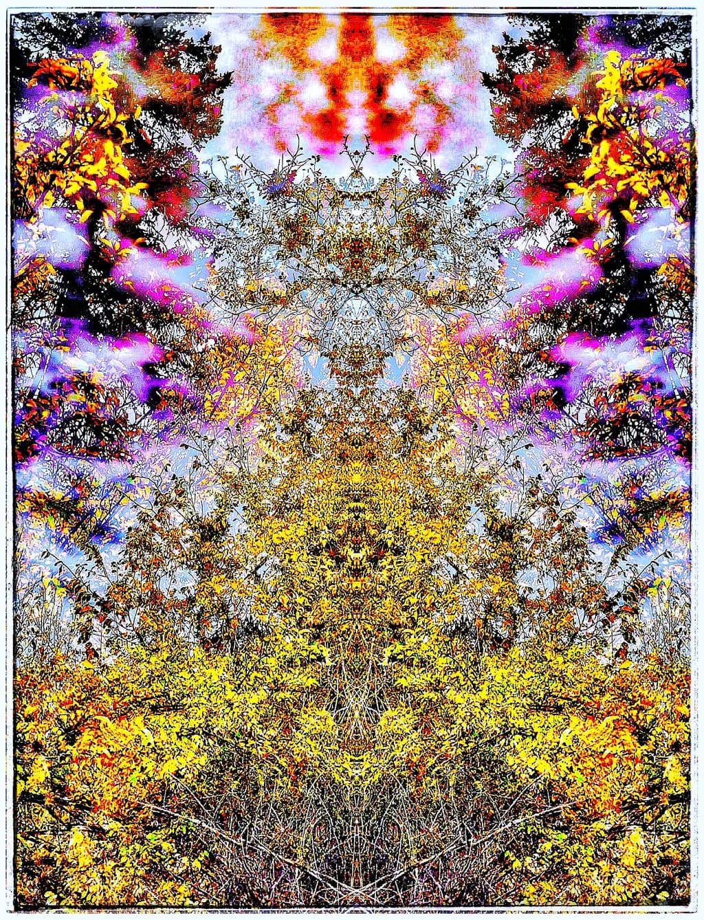 Autumn Reverie