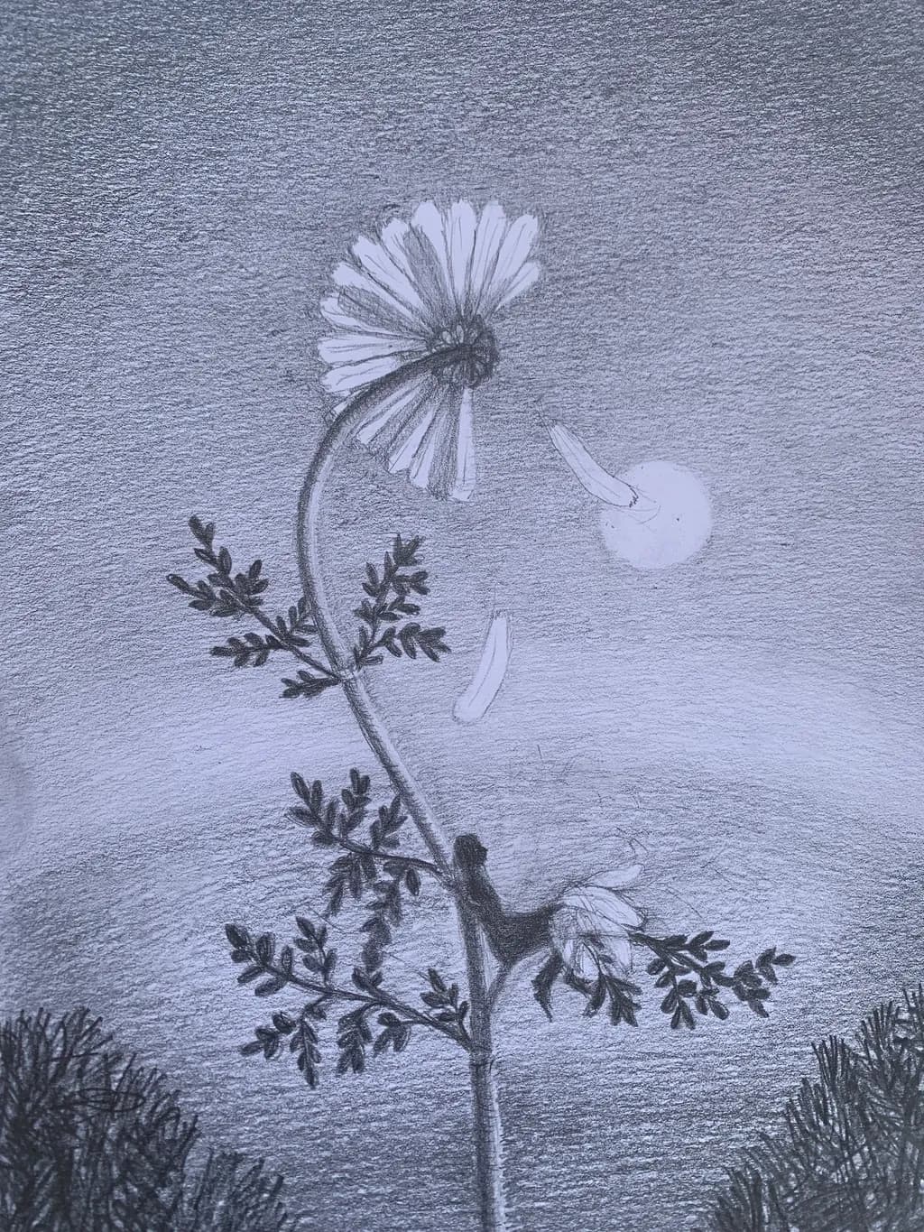 Moonlit Petals