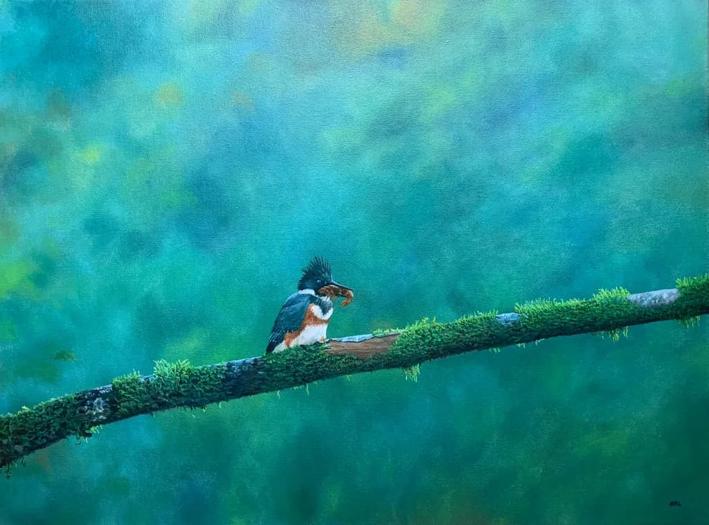 Kingfisher Perch