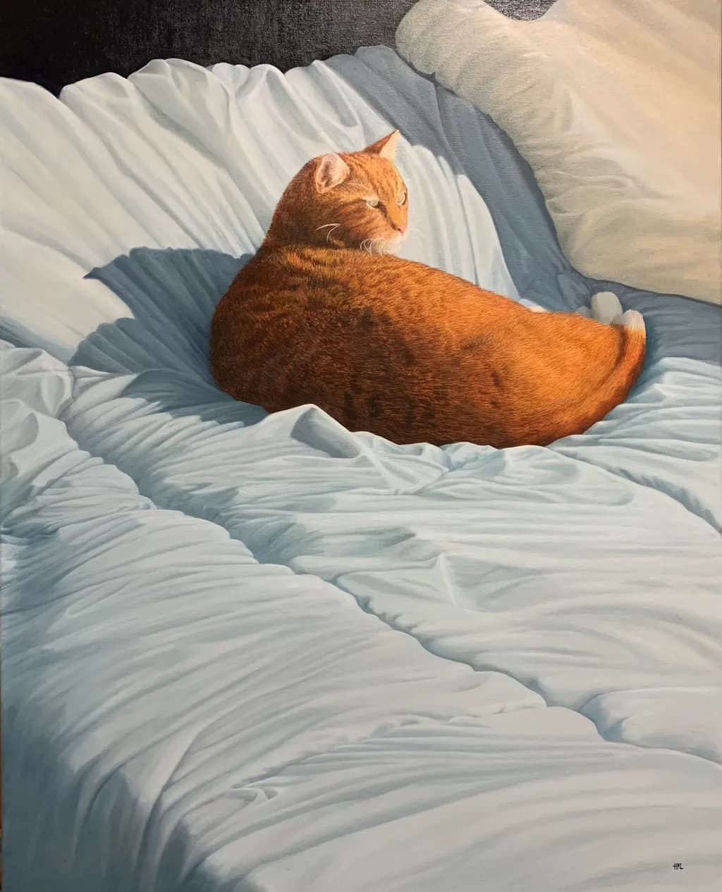 Sunlit Rest