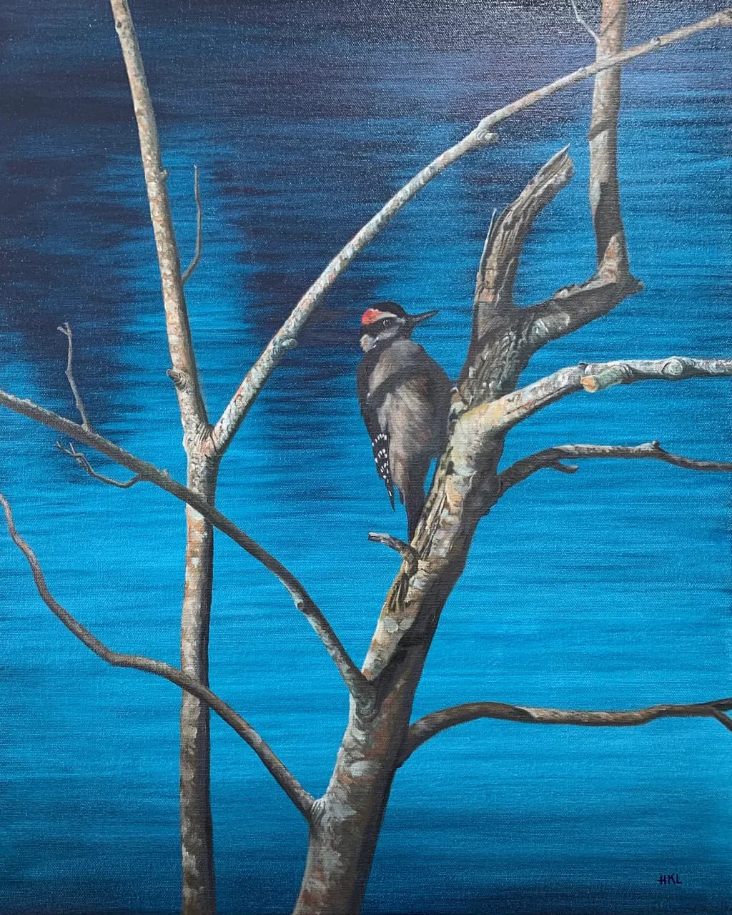 Quiet Observer