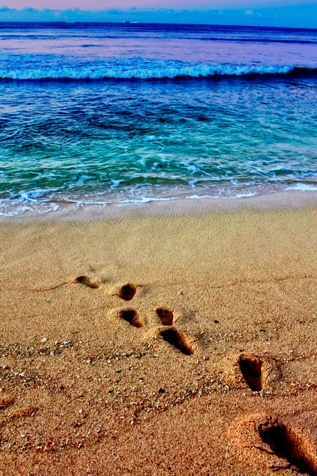 Coastal Steps