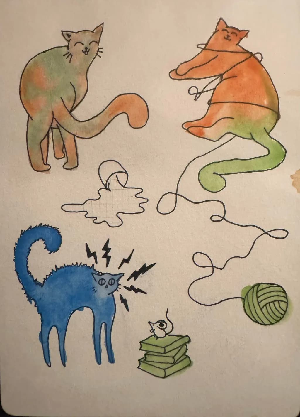 Cat Chaos Chronicles