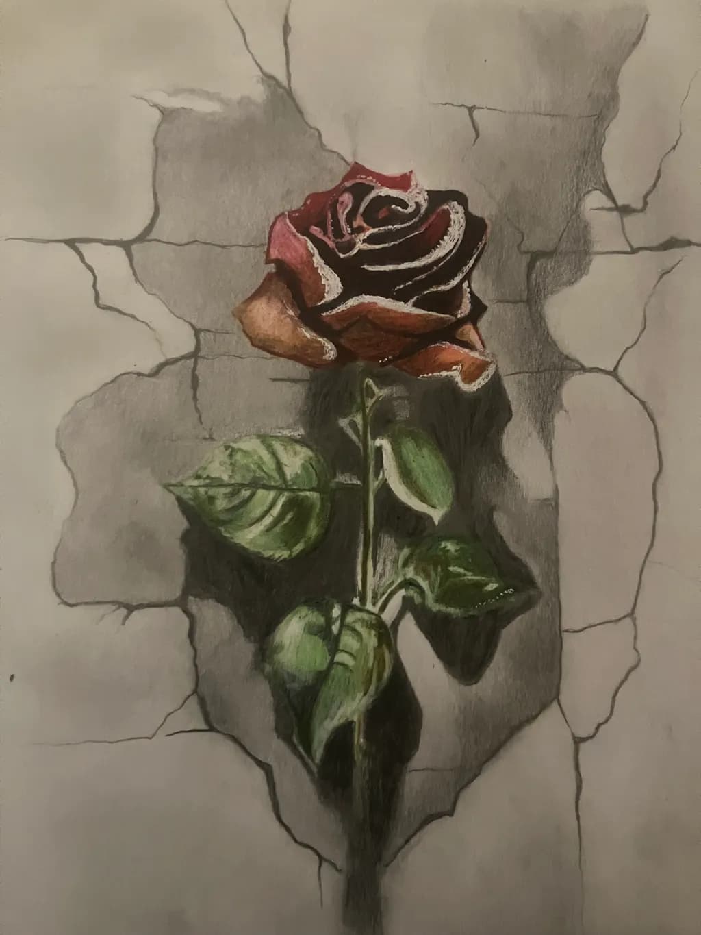 Cracked Bloom