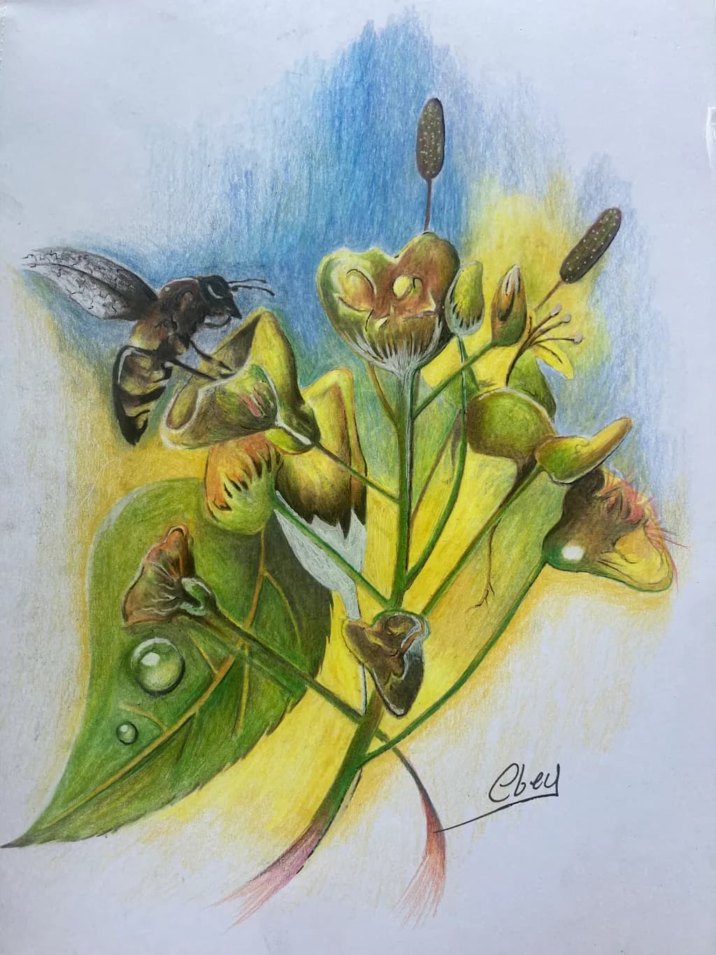 Bee and Bloom