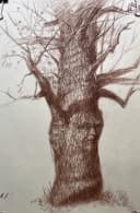 Original