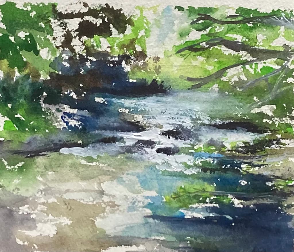 Forest Stream Reflection