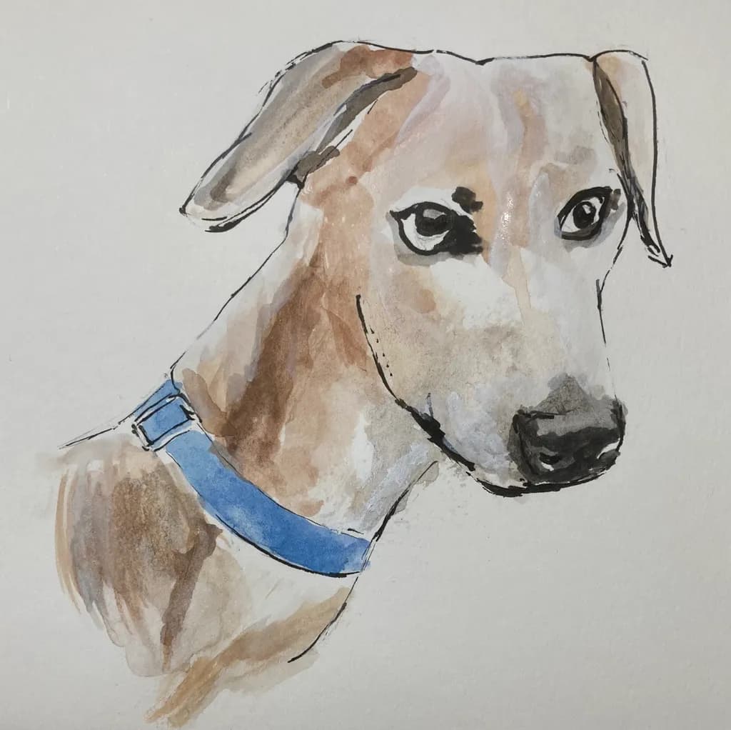 Blue Collar Canine