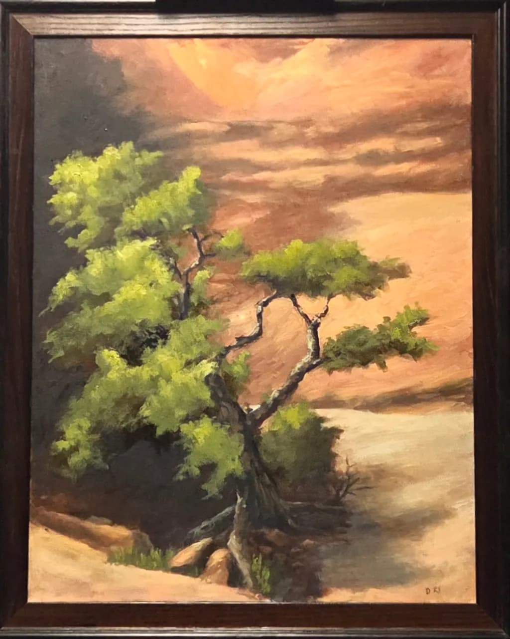 Desert Resilience