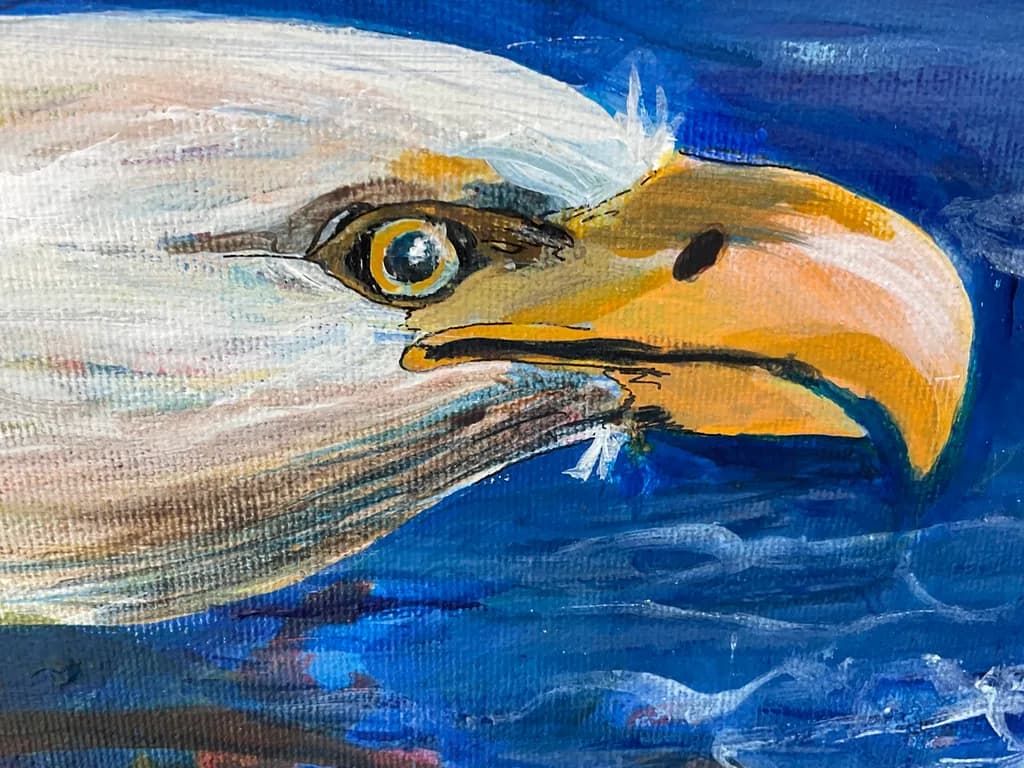 Eagle Gaze