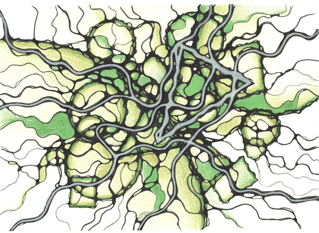 Entangled Growth