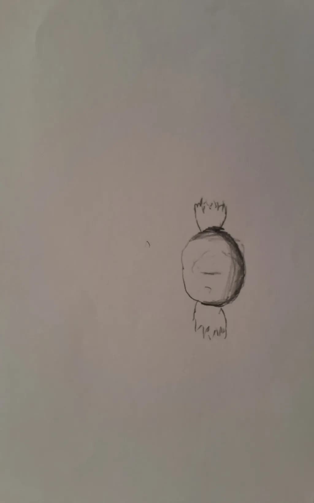 Pomegranate Sketch