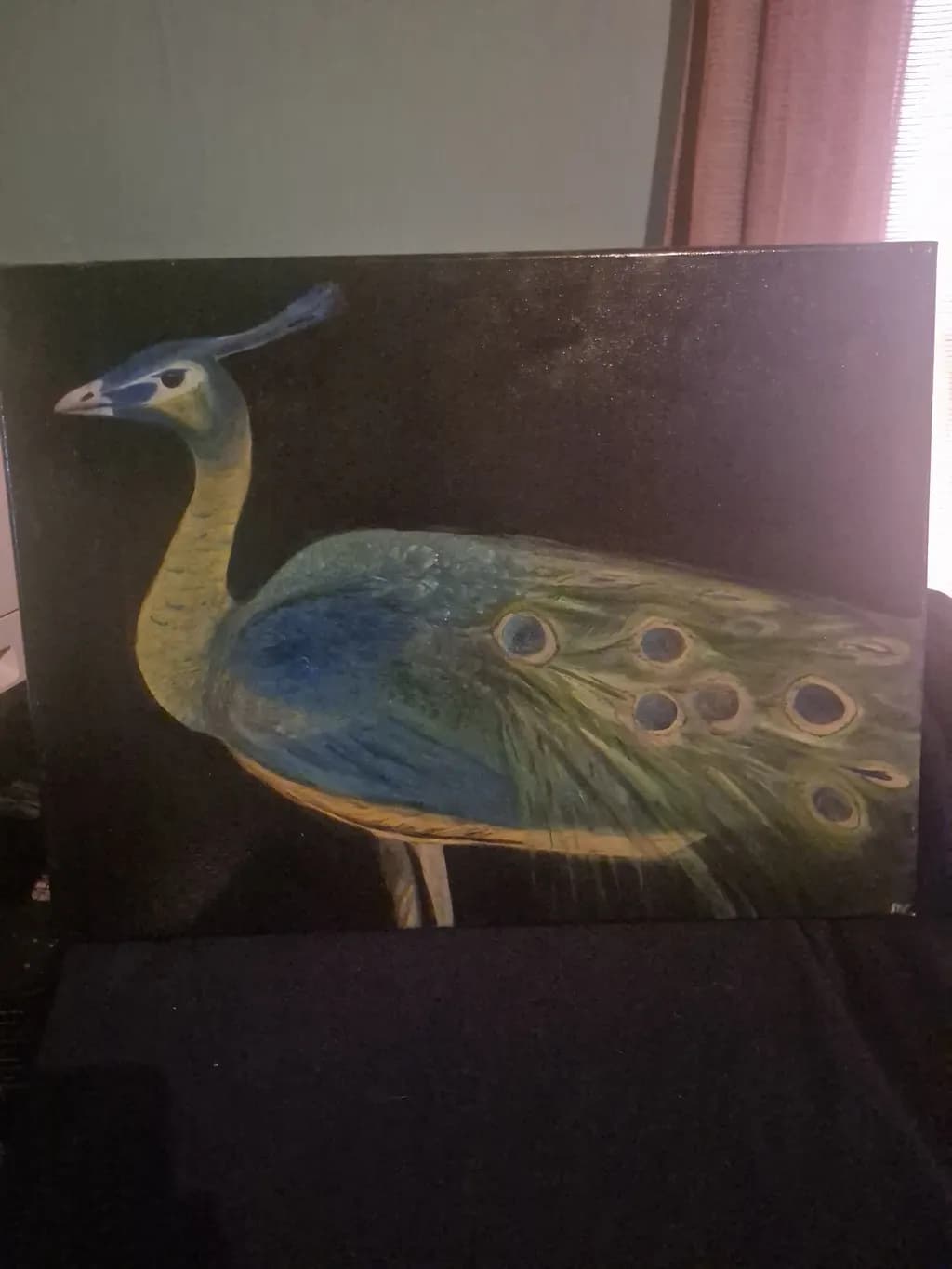 Regal Peacock