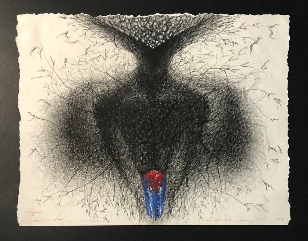 Rooted Shadow