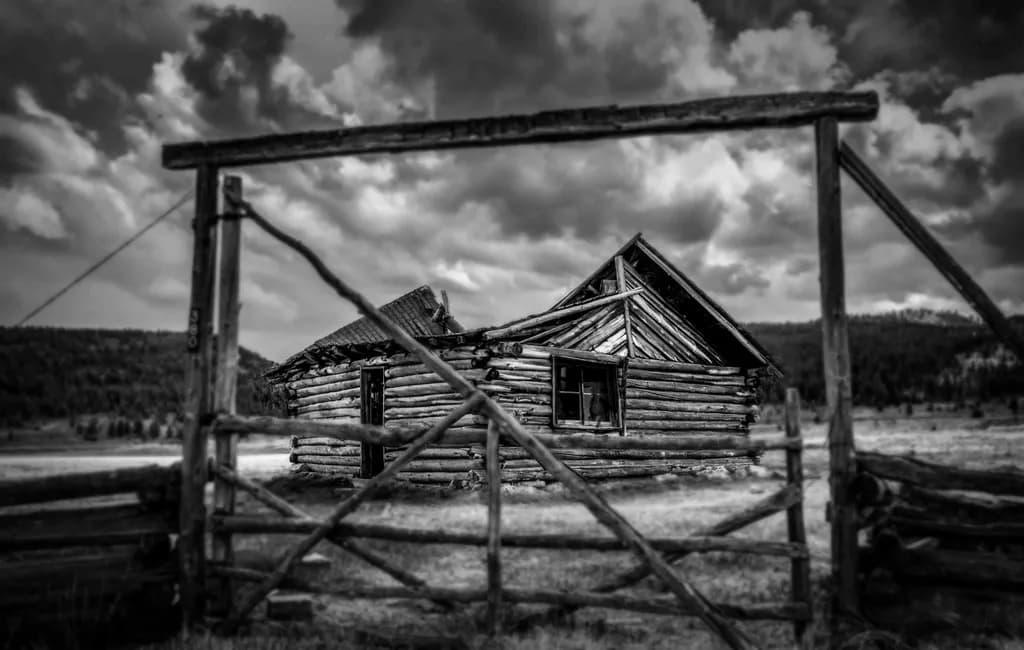 Abandoned Homestead