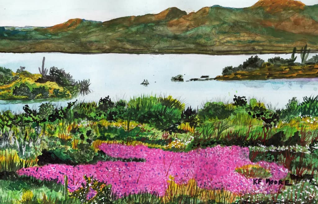 Roosevelt Lake Vista