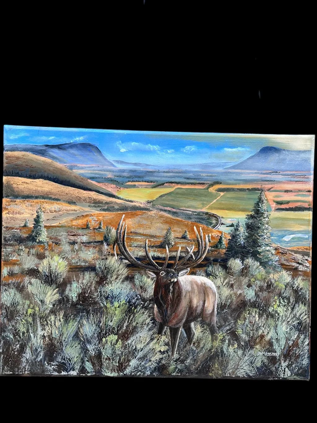 Mountain Majesty Elk