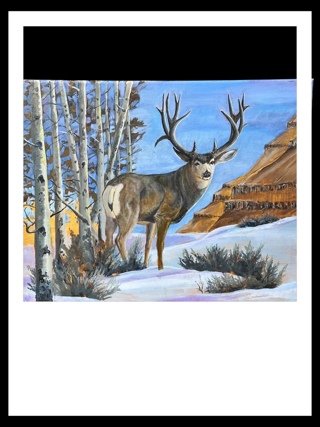 Winter Sentinel