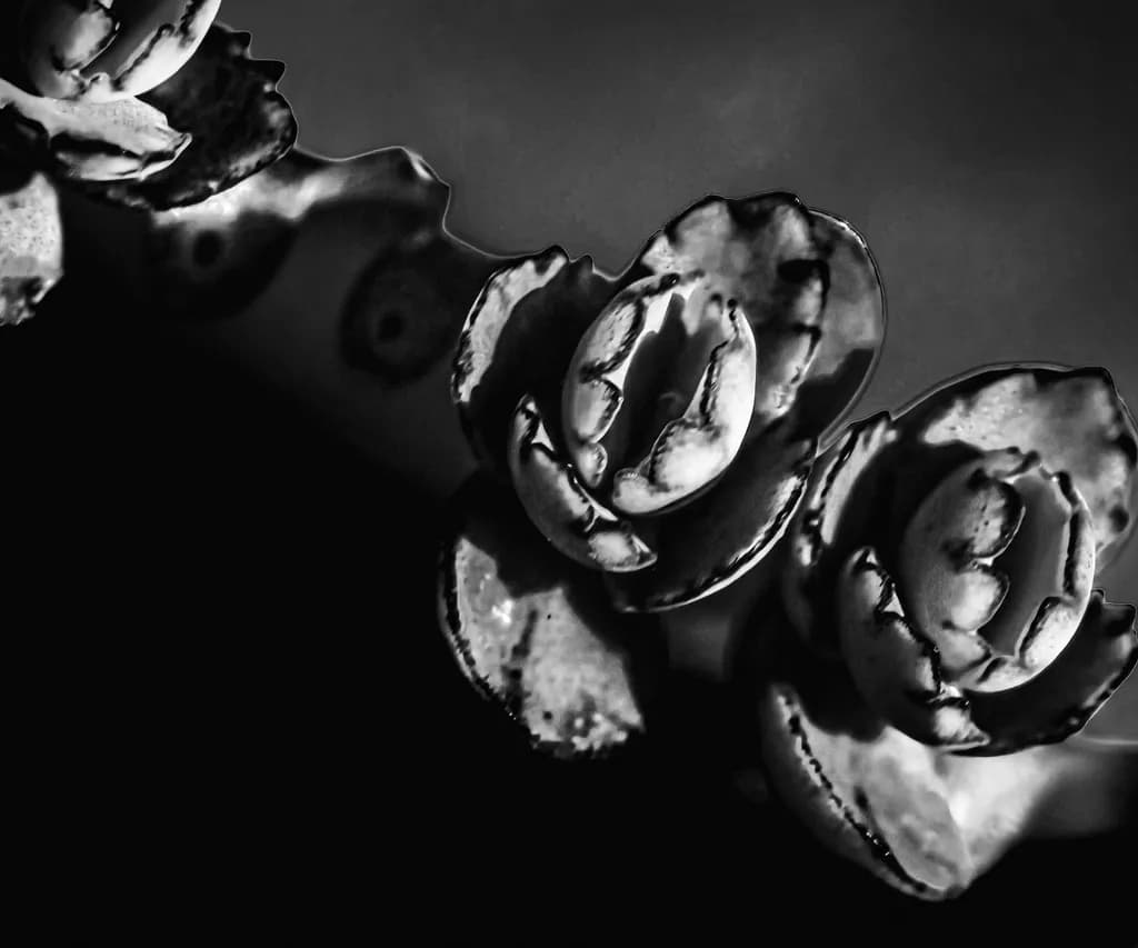 Sculpted Silence