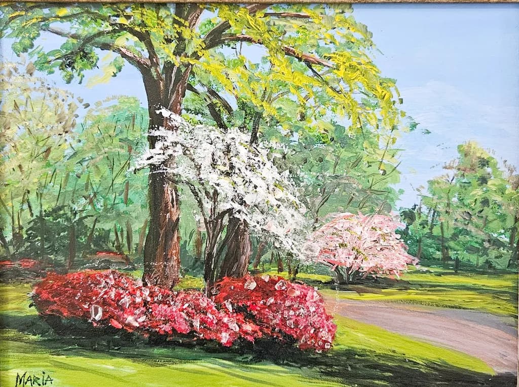 Azaleas in Bloom 
