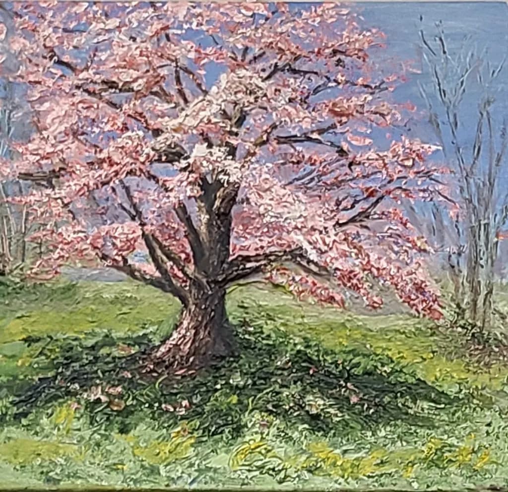 Cherrytree Bloom