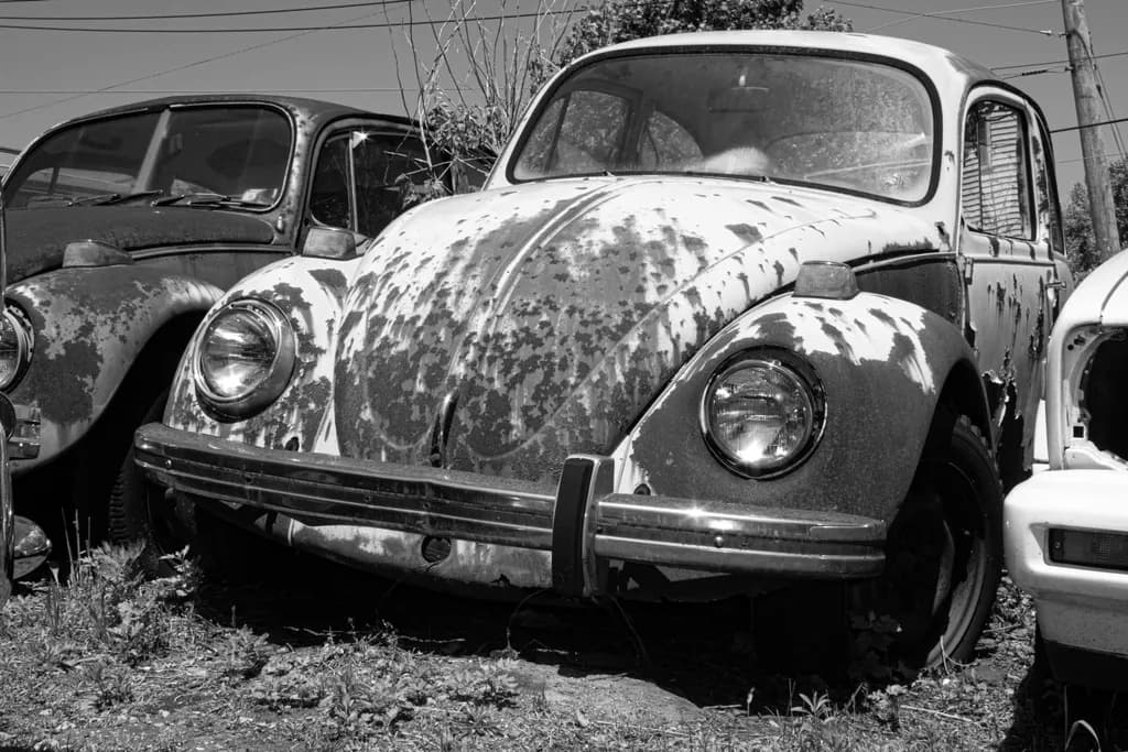 Rustbound Beetles
