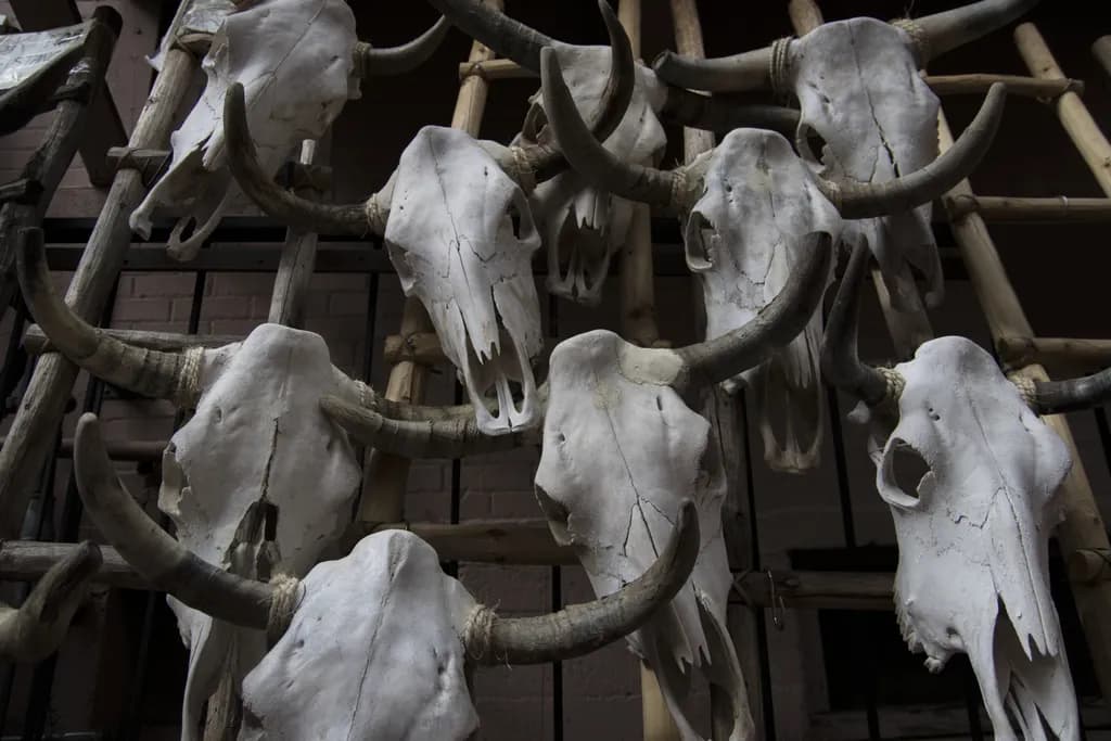 Santa Fe Skulls