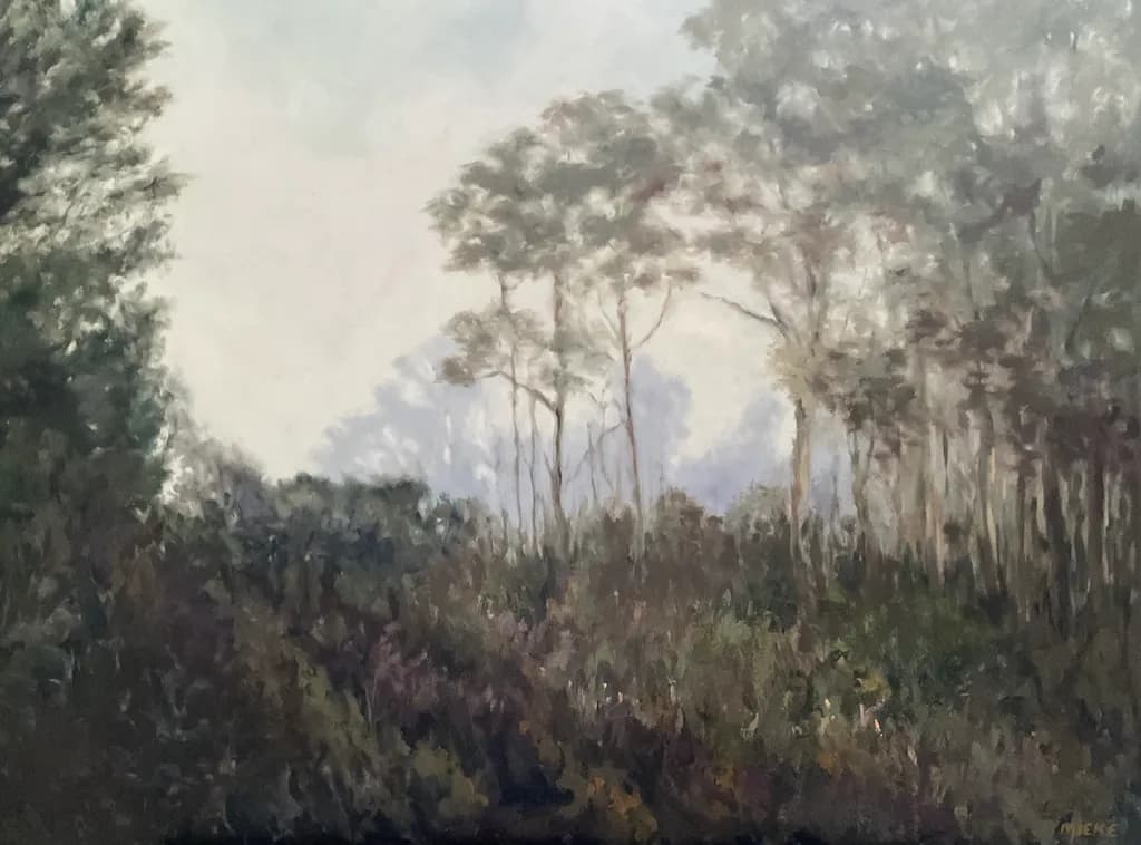 Misty Woodland