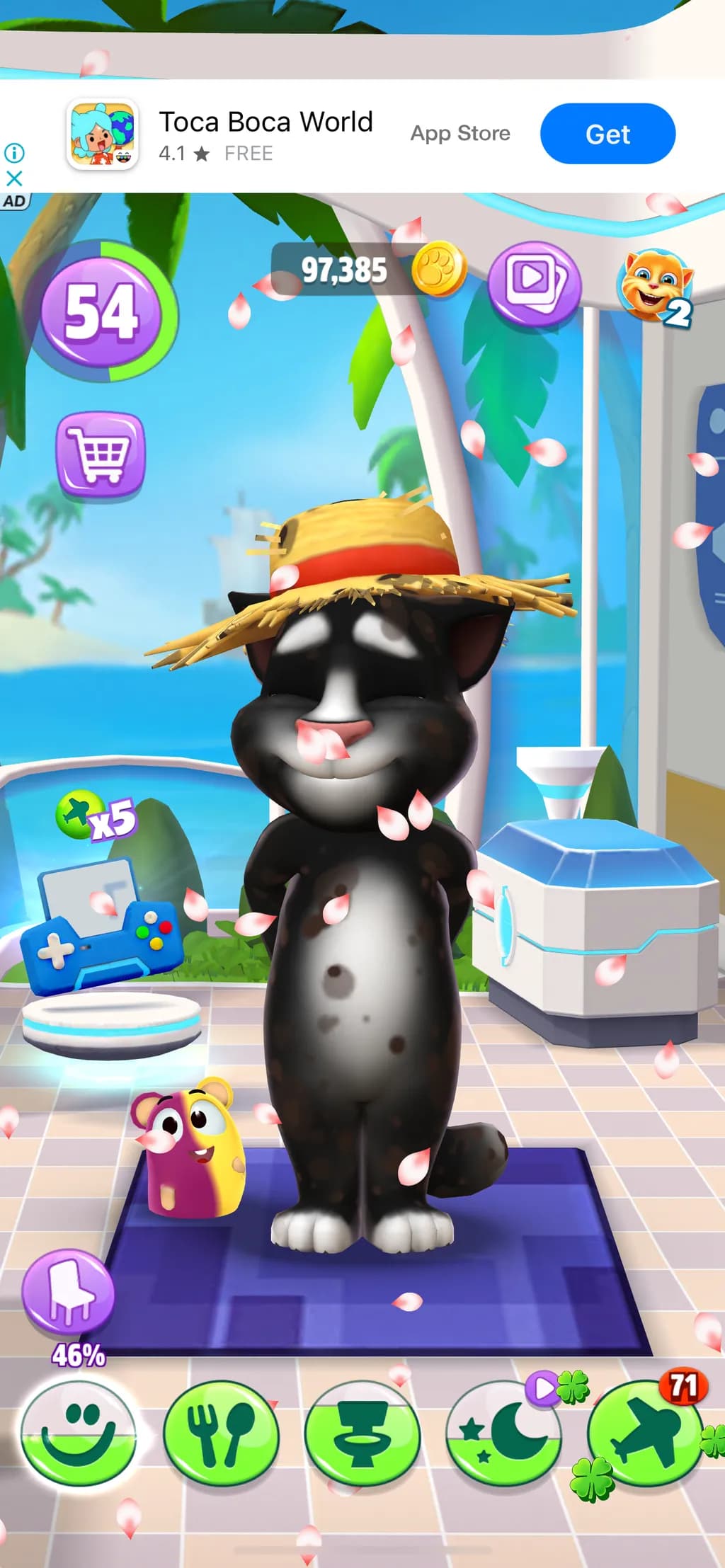 Straw Hat Cat