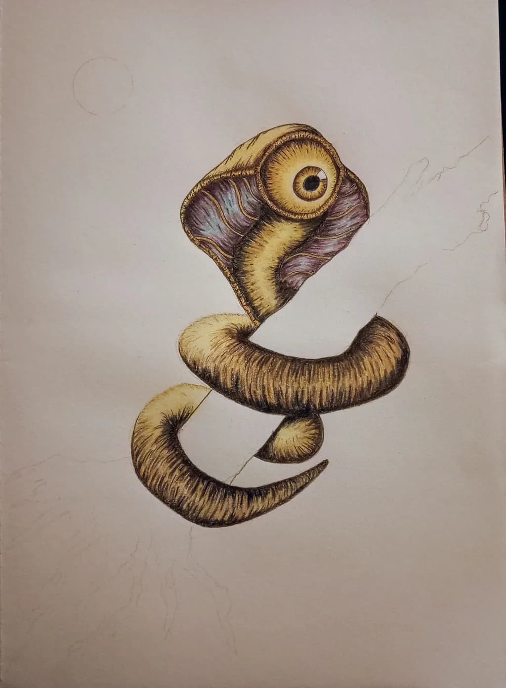Curious Coil