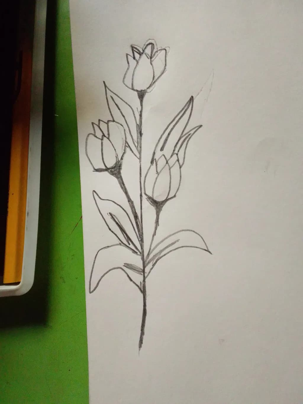 Tulip Trio Sketch