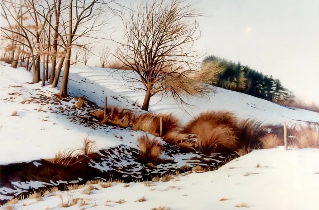 Winter Hollow