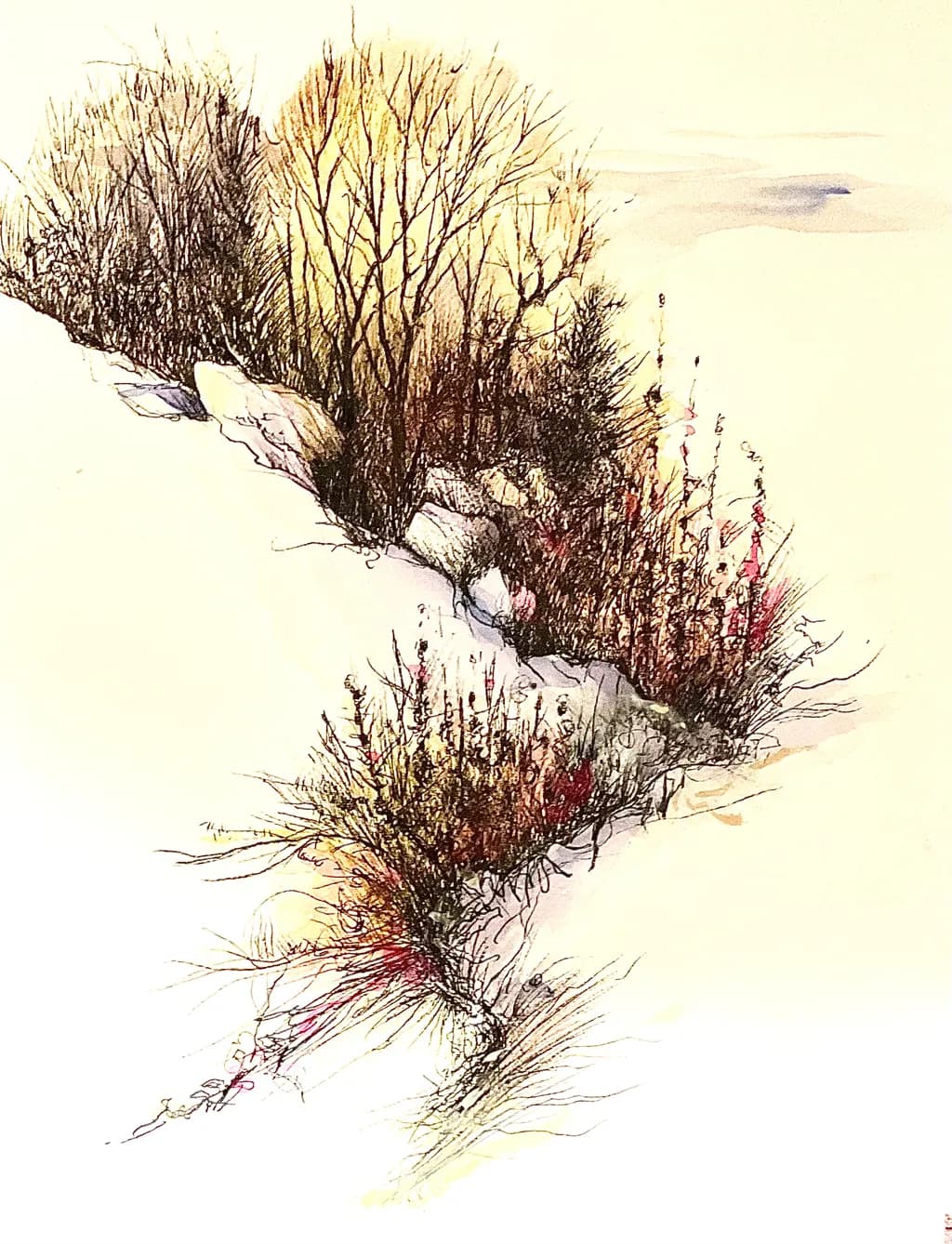 Winter Thicket