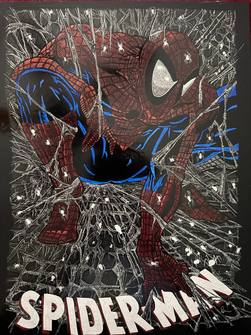 Webbed Vigilante