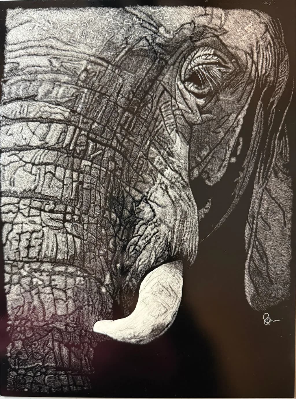 Elephant Etchings