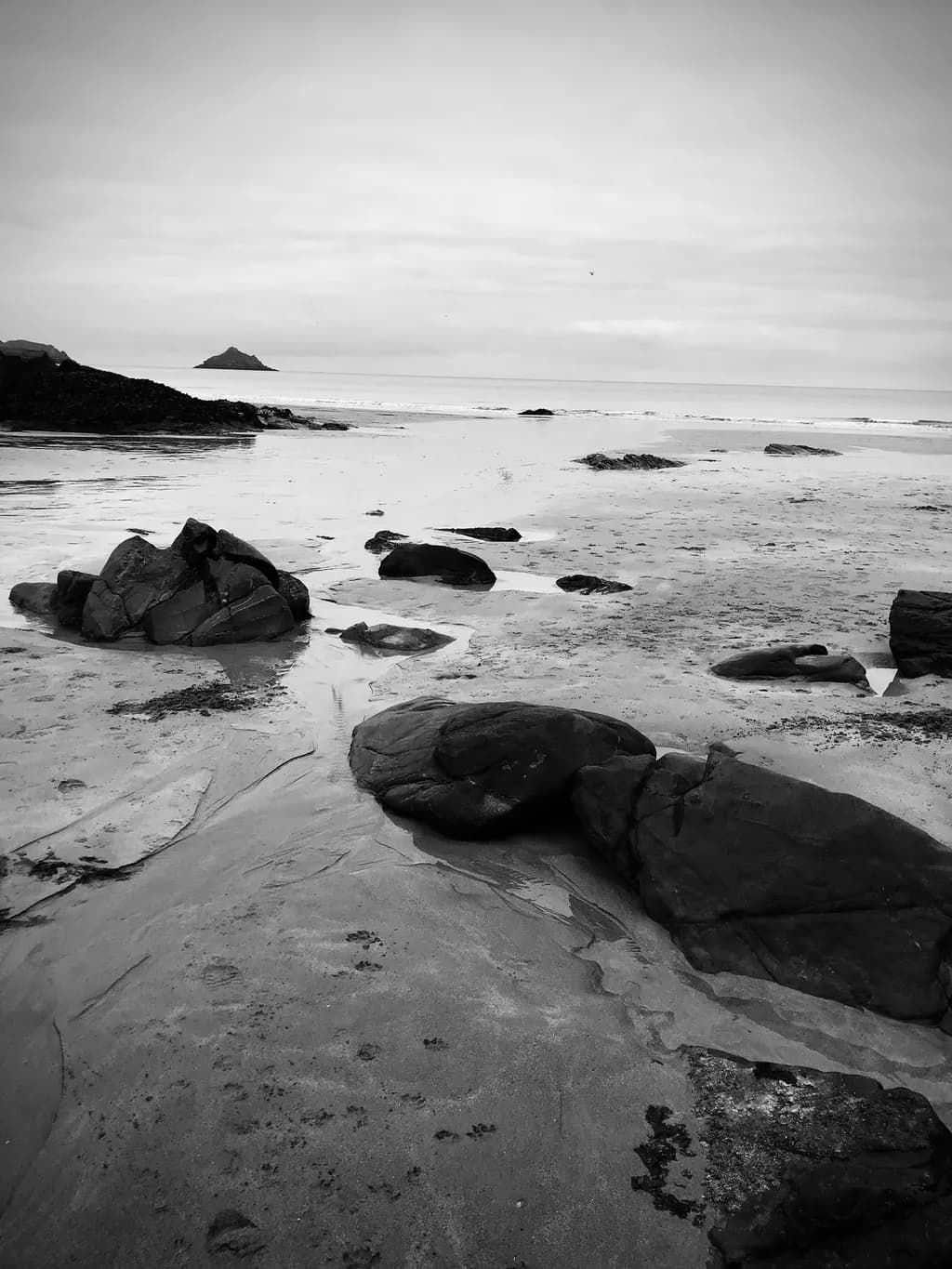 Winter's Tale Beachscape