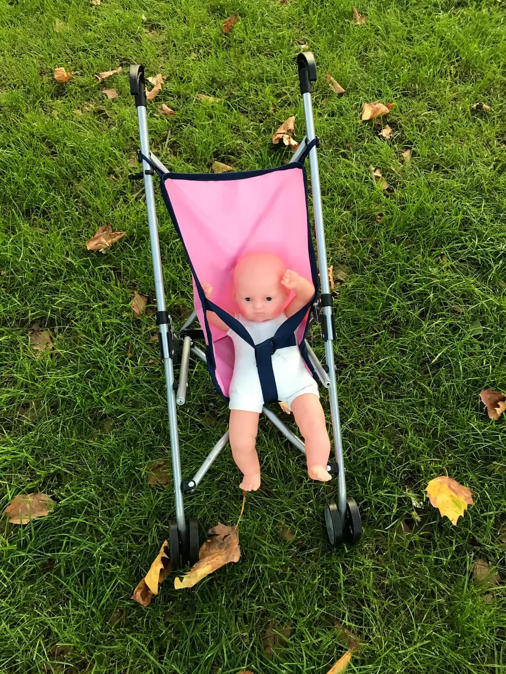 Lonely Stroller